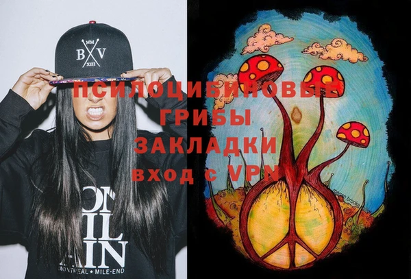 меф Вяземский