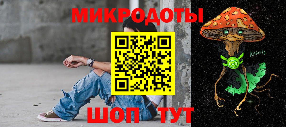 Галлюциногенные грибы мухоморы Мончегорск