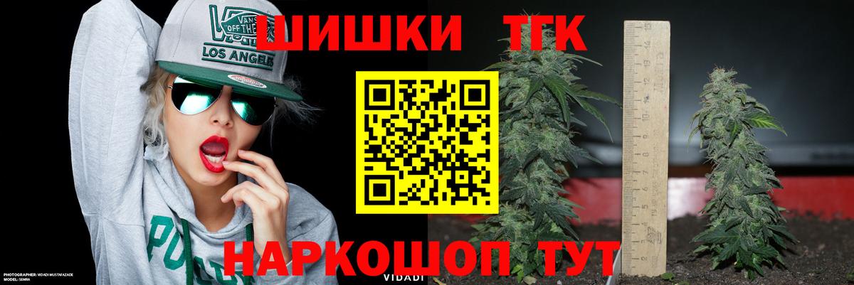 ГАШ Мончегорск